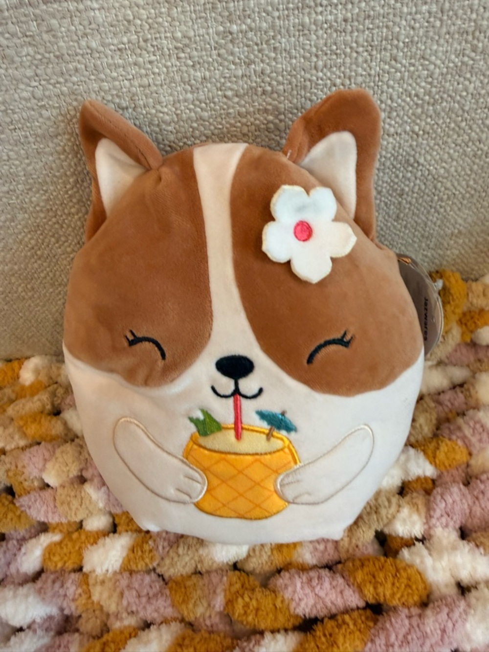 Squishmallow - Regina - size 8 - nwt- Corgi Holding Pineapple